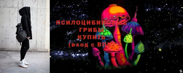 индика Горняк